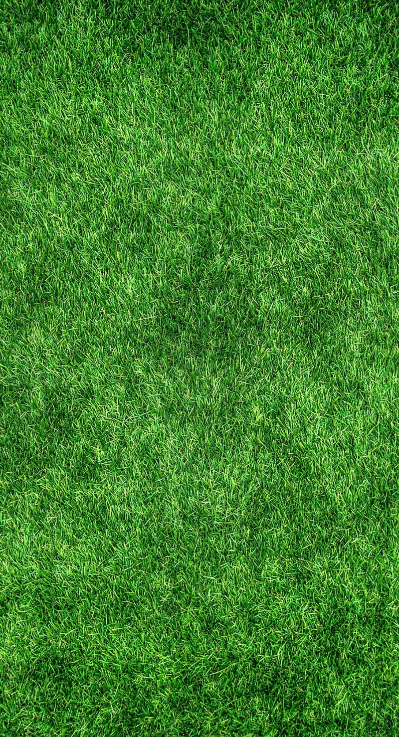 Eco-Friendly Play Ideas